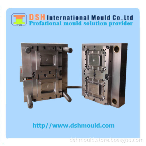 Plastic Injection Mould/Moulding